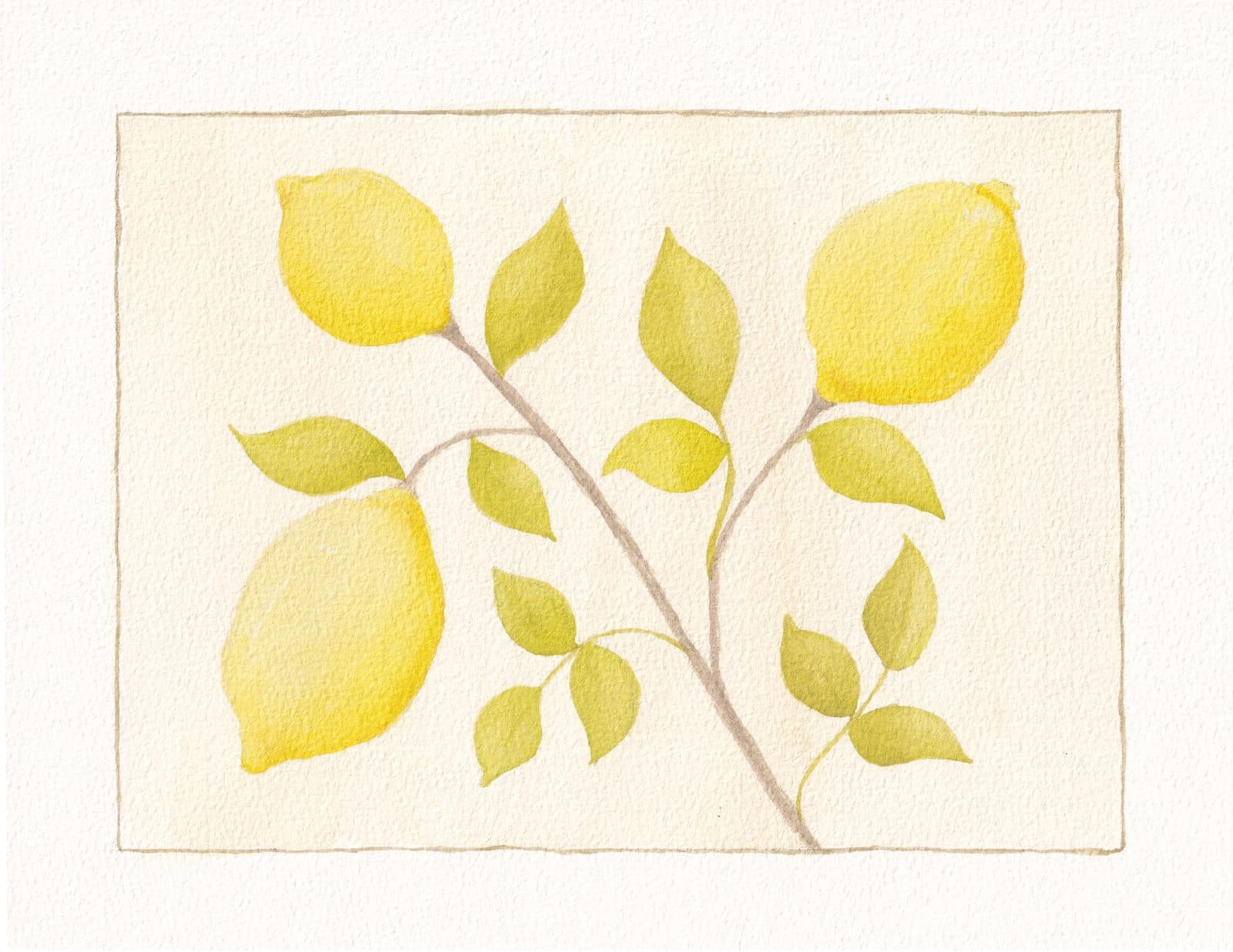 Lemon Lovelies