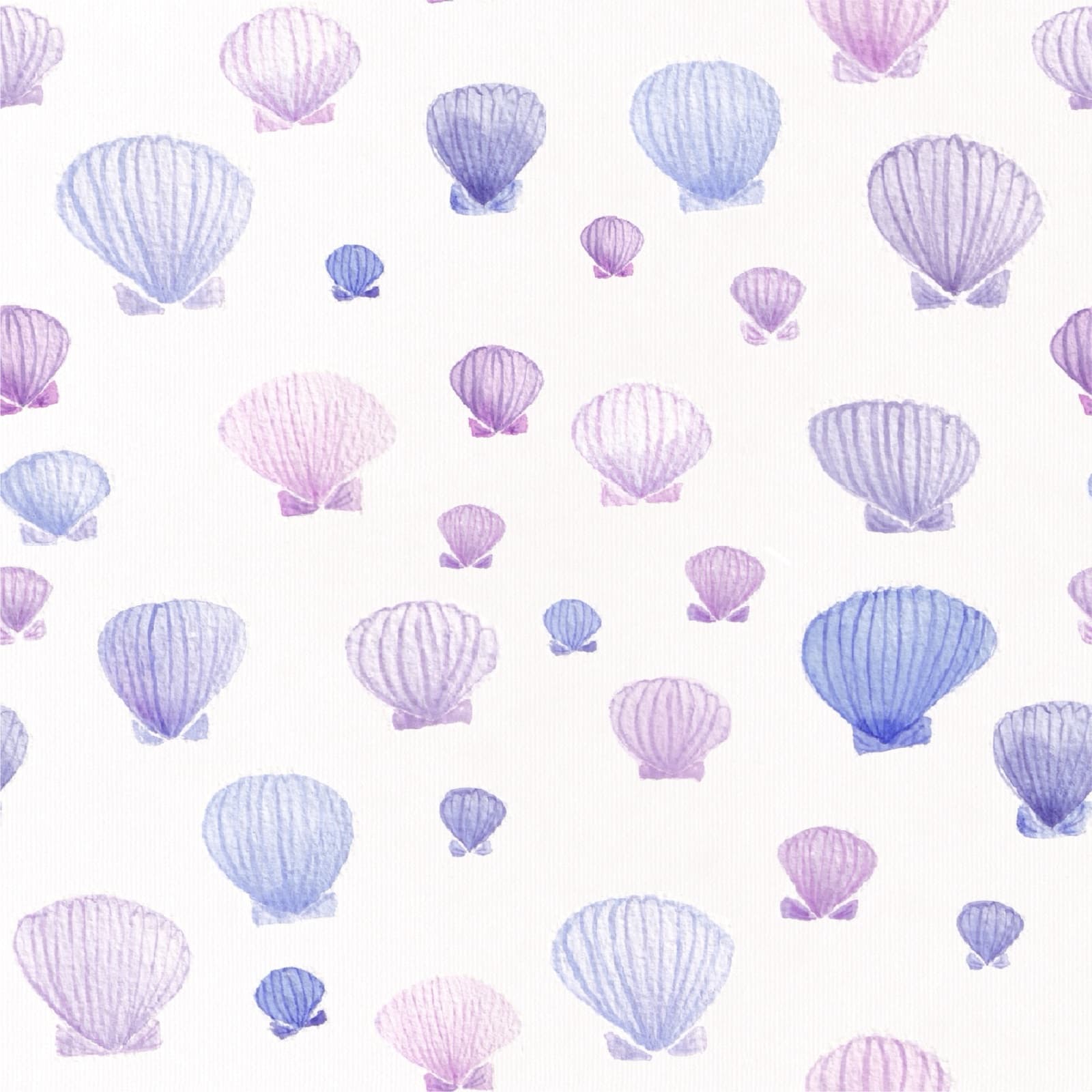 Seashells